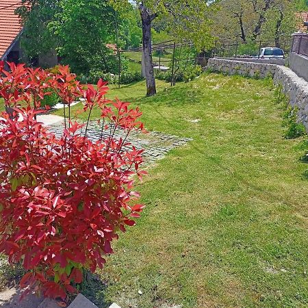 Holiday In The National Park Lovcen Cetinje Bagian luar foto
