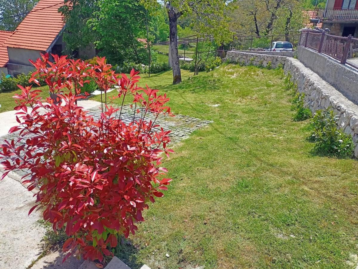 Holiday In The National Park Lovcen Cetinje Bagian luar foto